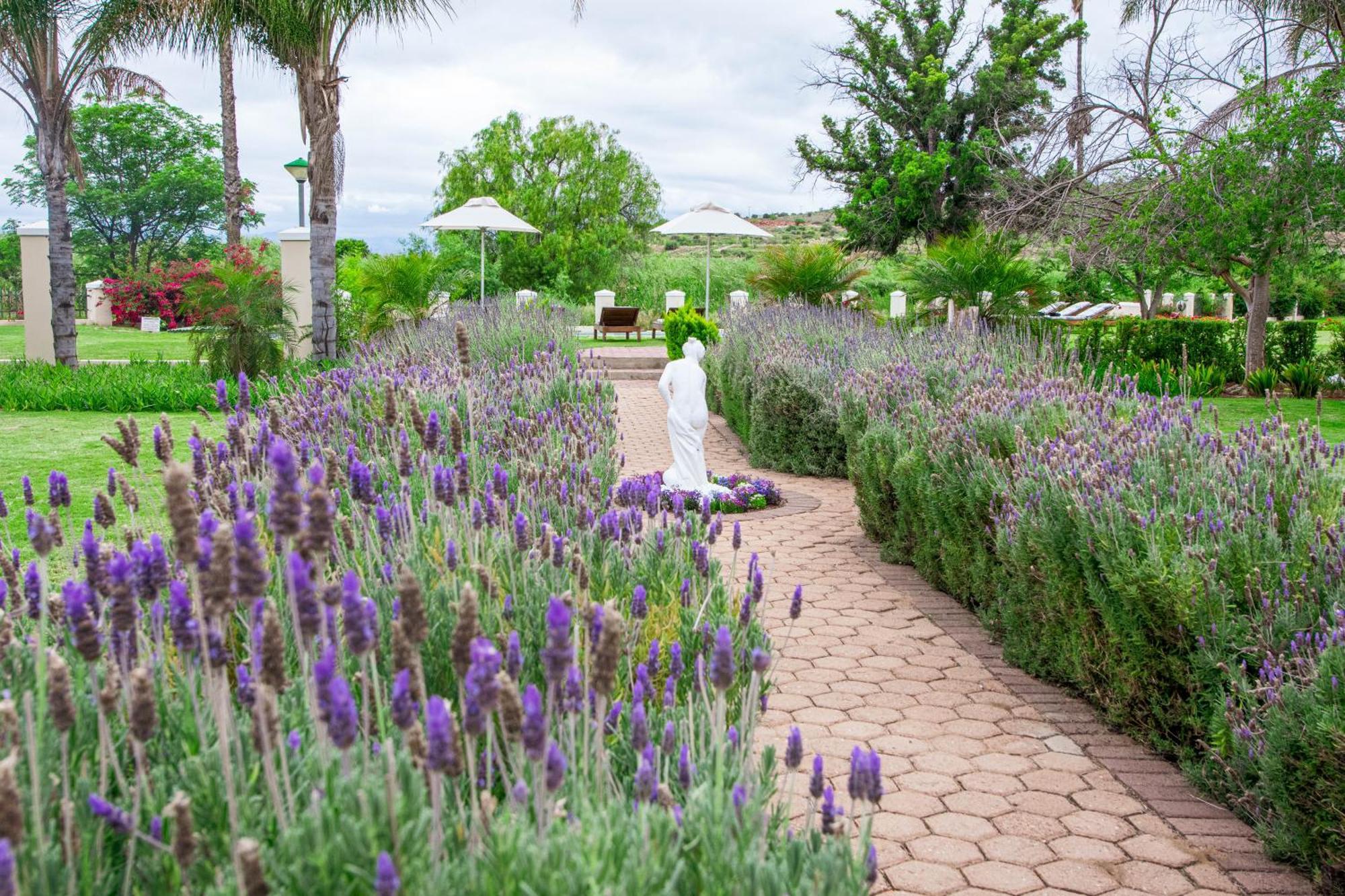 Bakenskraal Ostrich Palace 奥茨胡恩 外观 照片